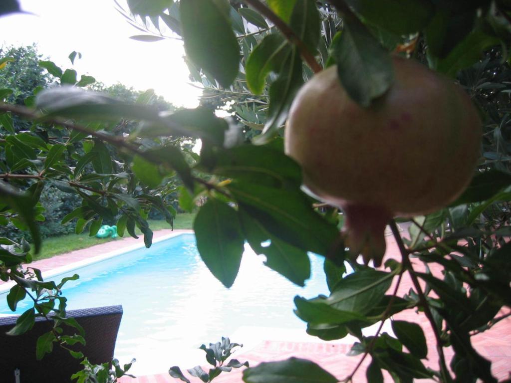 Al Melograno - Room & Breakfast Bologna Bagian luar foto